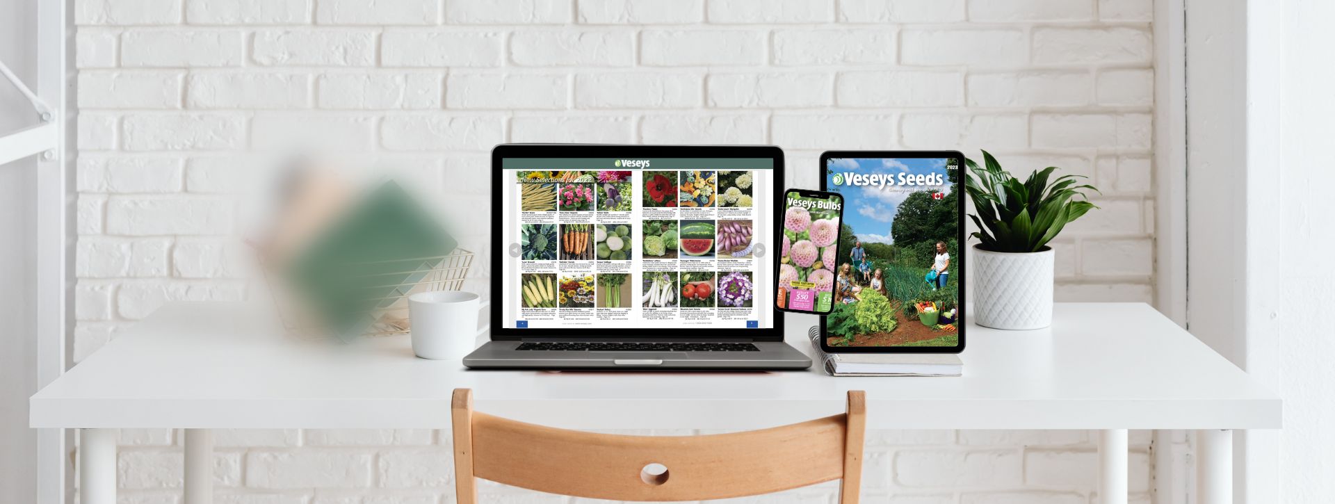Digital Catalogues